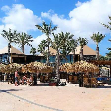 Oasis Papagayo Sport * Коральео